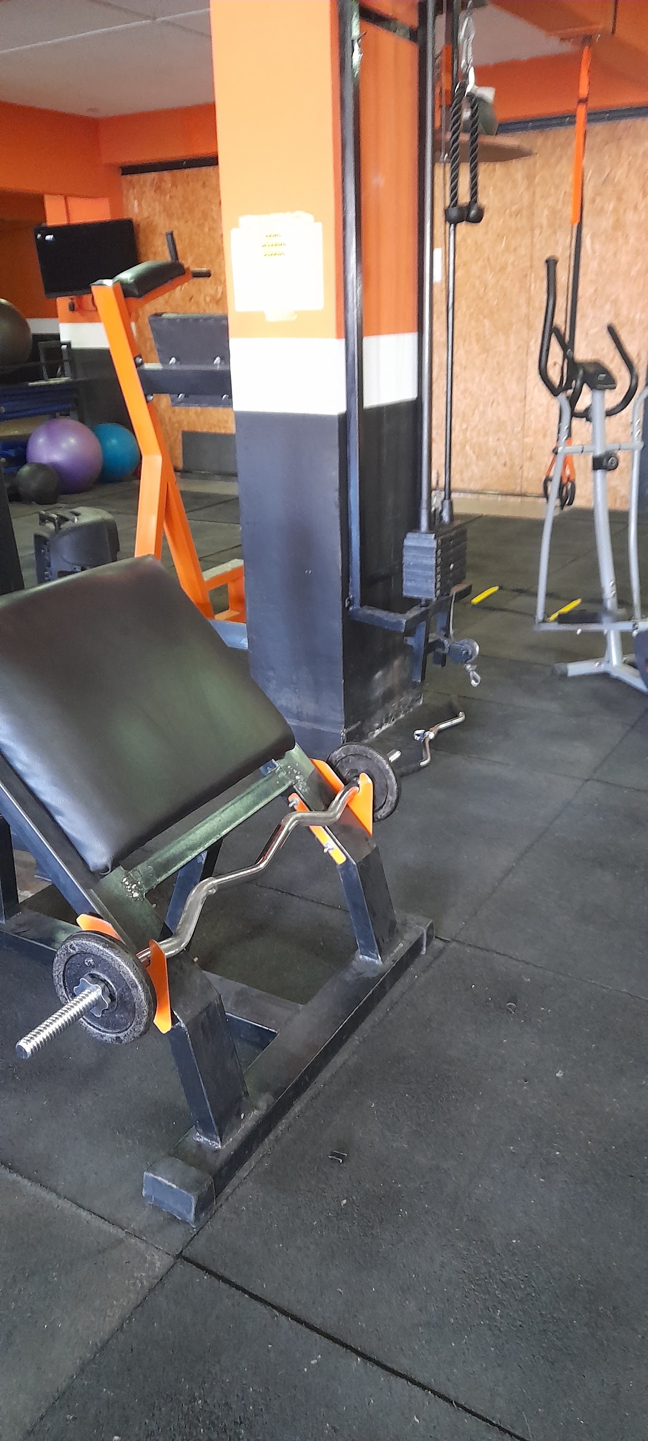 Zona de pesas de Gimnasio Crunch Fitness Neuquén